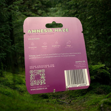 BUMBATZ x Amnesia Haze