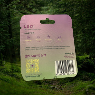 BUMBATZ - LSD - auto