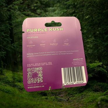 BUMBATZ x Purple Kush