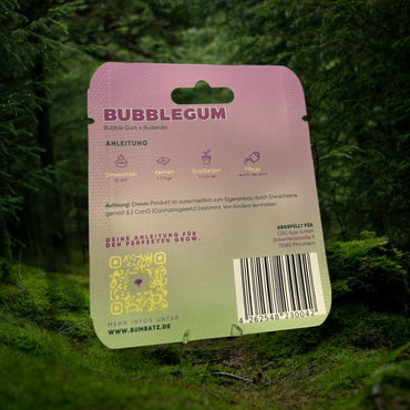 BUMBATZ x Bubblegum - auto