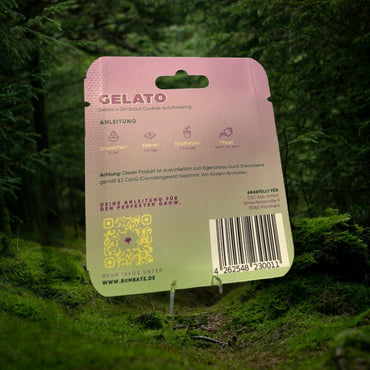 BUMBATZ x Gelato - auto