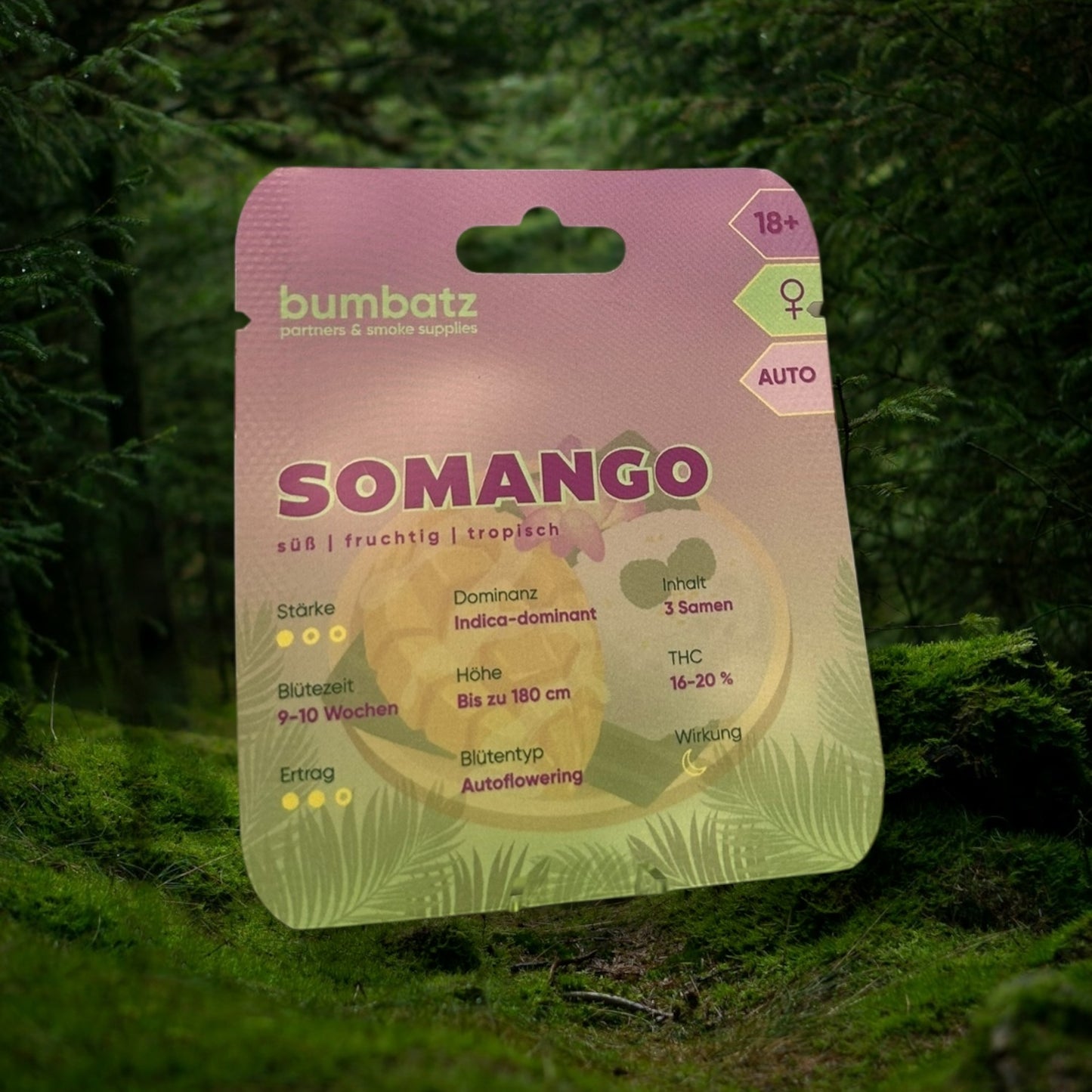 BUMBATZ x Somango