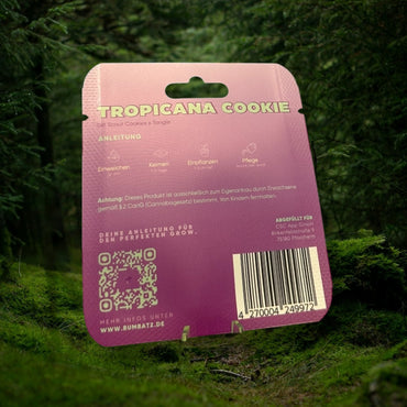 BUMBATZ x Tropicana Cookie