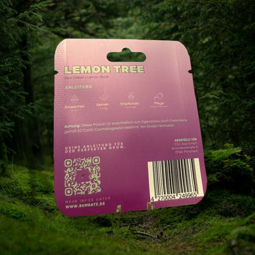 BUMBATZ x Lemon Tree