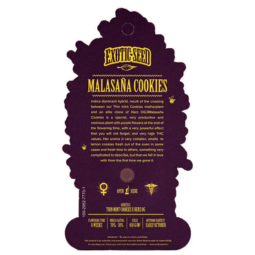 Exotic Seed - MALASANA COOKIES - Feminsiert