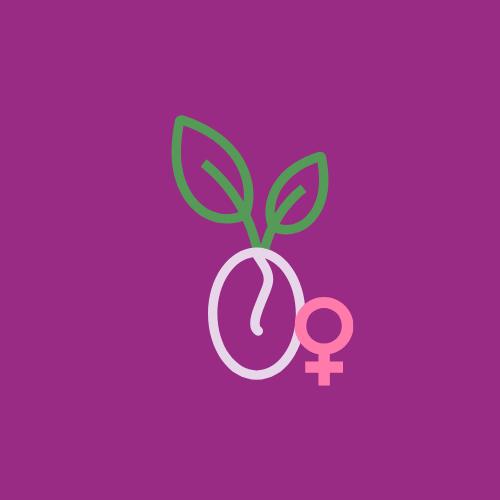 Feminisierte Samen