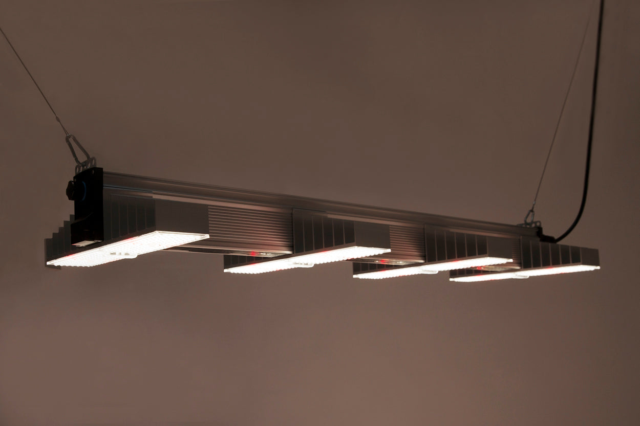 SANlight EVO 4-120 1.5