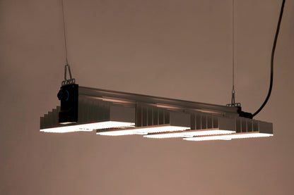 SANlight EVO 4-80 1.5