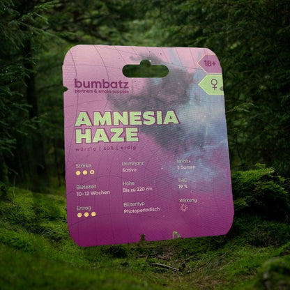 BUMBATZ x Amnesia Haze
