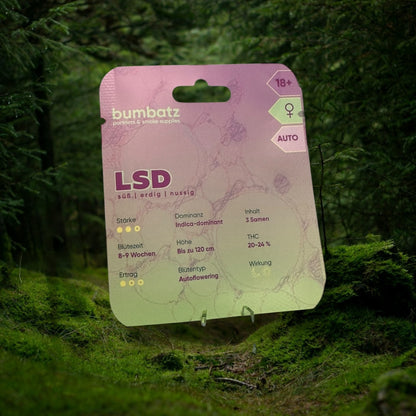BUMBATZ - LSD - auto