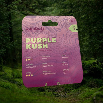 BUMBATZ x Purple Kush