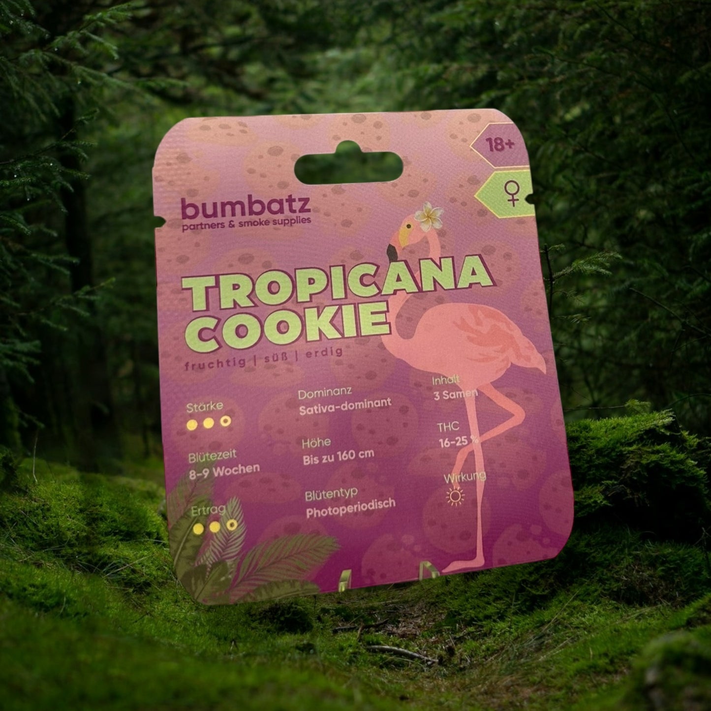 BUMBATZ x Tropicana Cookie