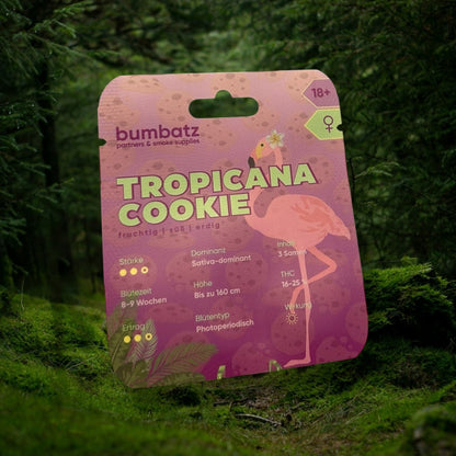 BUMBATZ x Tropicana Cookie