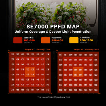 Spider Farmer® 150x150 cm Komplettes Grow-Zelt-Set丨SE7000 730W LED-Pflanzenlampe丨6″ Inline-Lüfter mit Temperatur- und Feuchtigkeitsregler