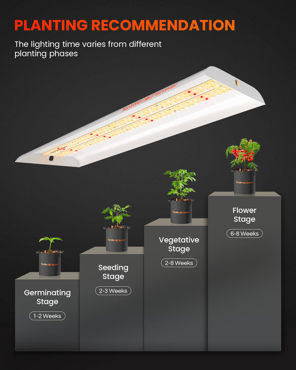 2024 Neueste Version Spider Farmer SF300 33W LED Grow Light für Setzlinge und Indoor-Gärten