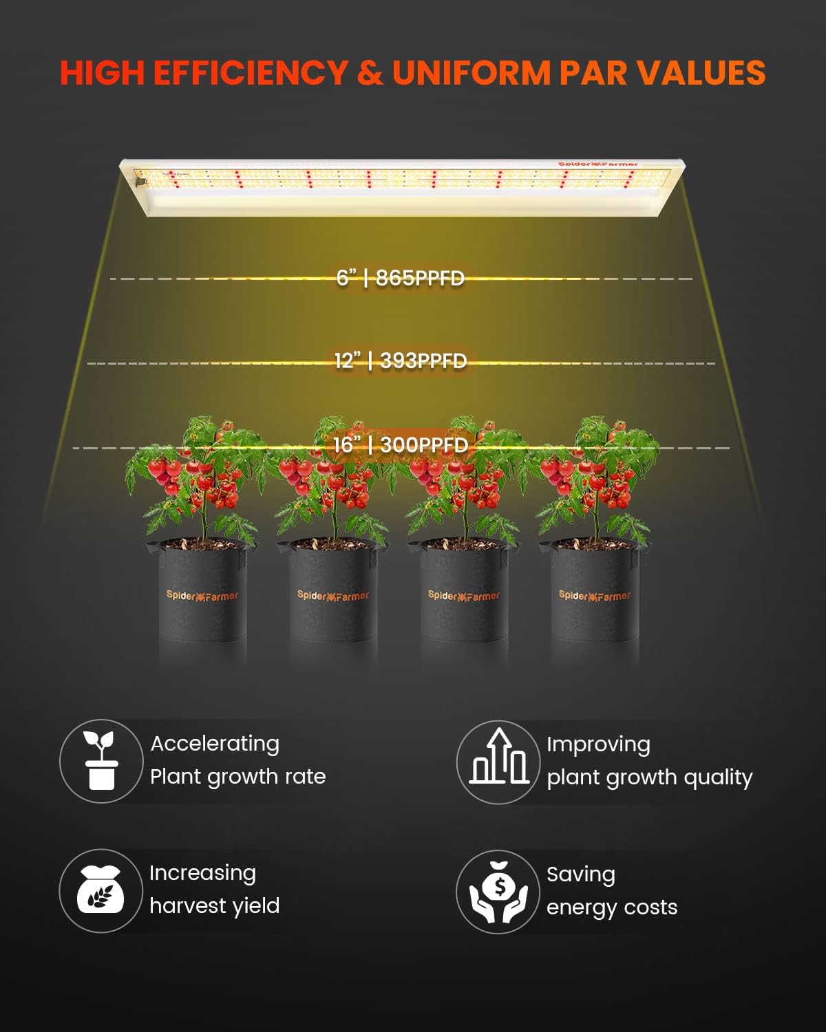 2024 Neueste Version Spider Farmer SF300 33W LED Grow Light für Setzlinge und Indoor-Gärten