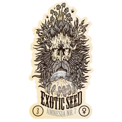 Exotic Seed - AMNESIA #7 - Feminisiert