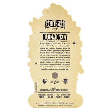 Exotic Seed - BLUE MONKEY - Feminisiert