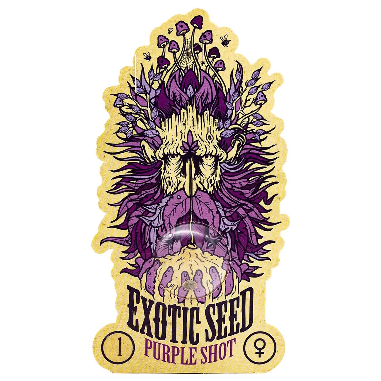 Exotic Seed - PURPLE SHOT - Feminsiert