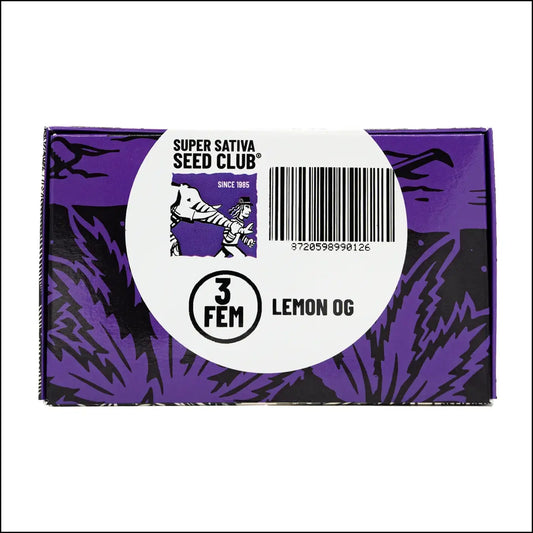 Super Sativa Seed Club - LEMON OG - Feminisiert